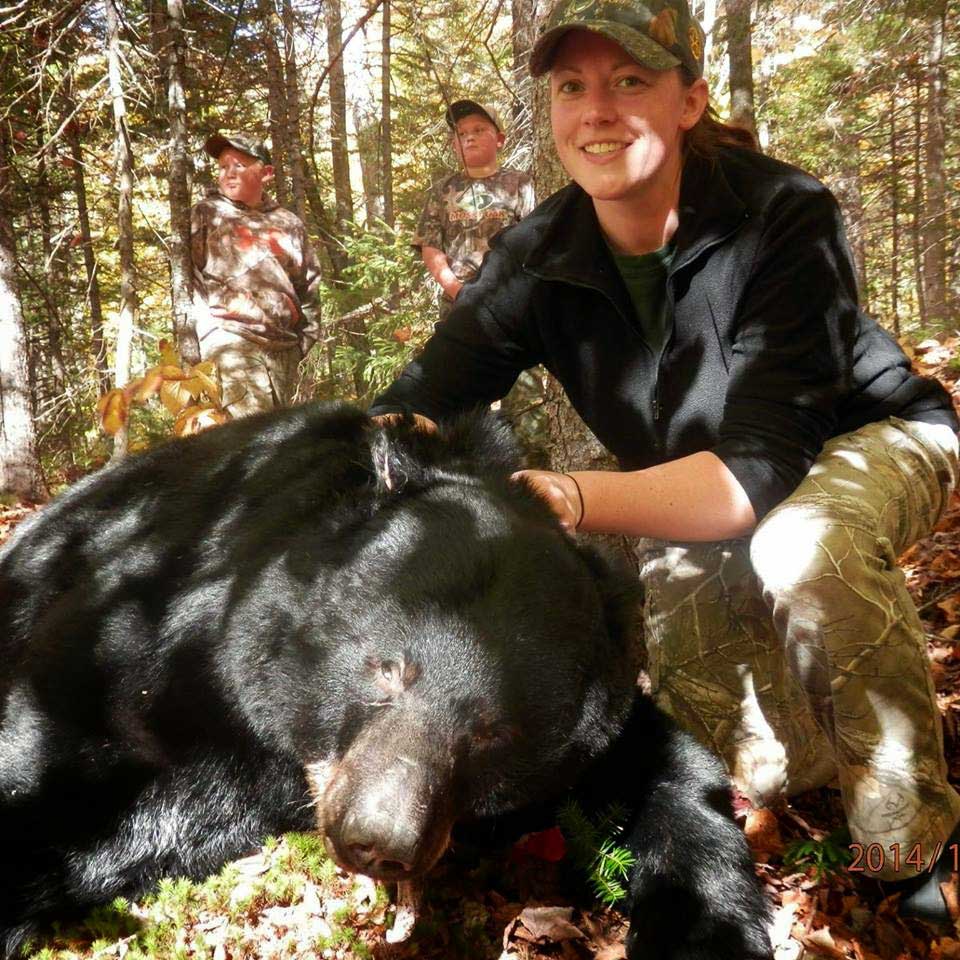 Bear Hunt in Maine